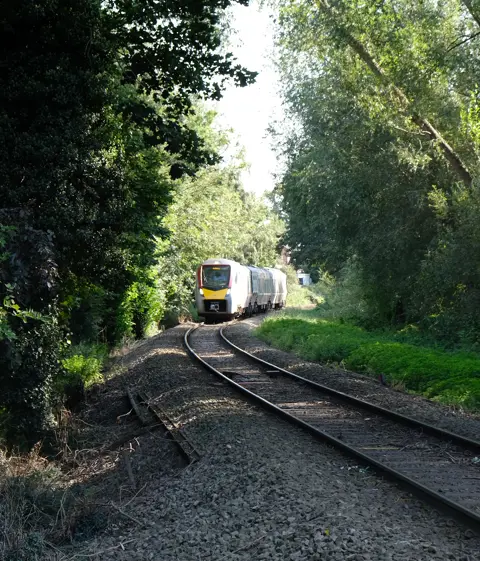 Train In Woods Crop1